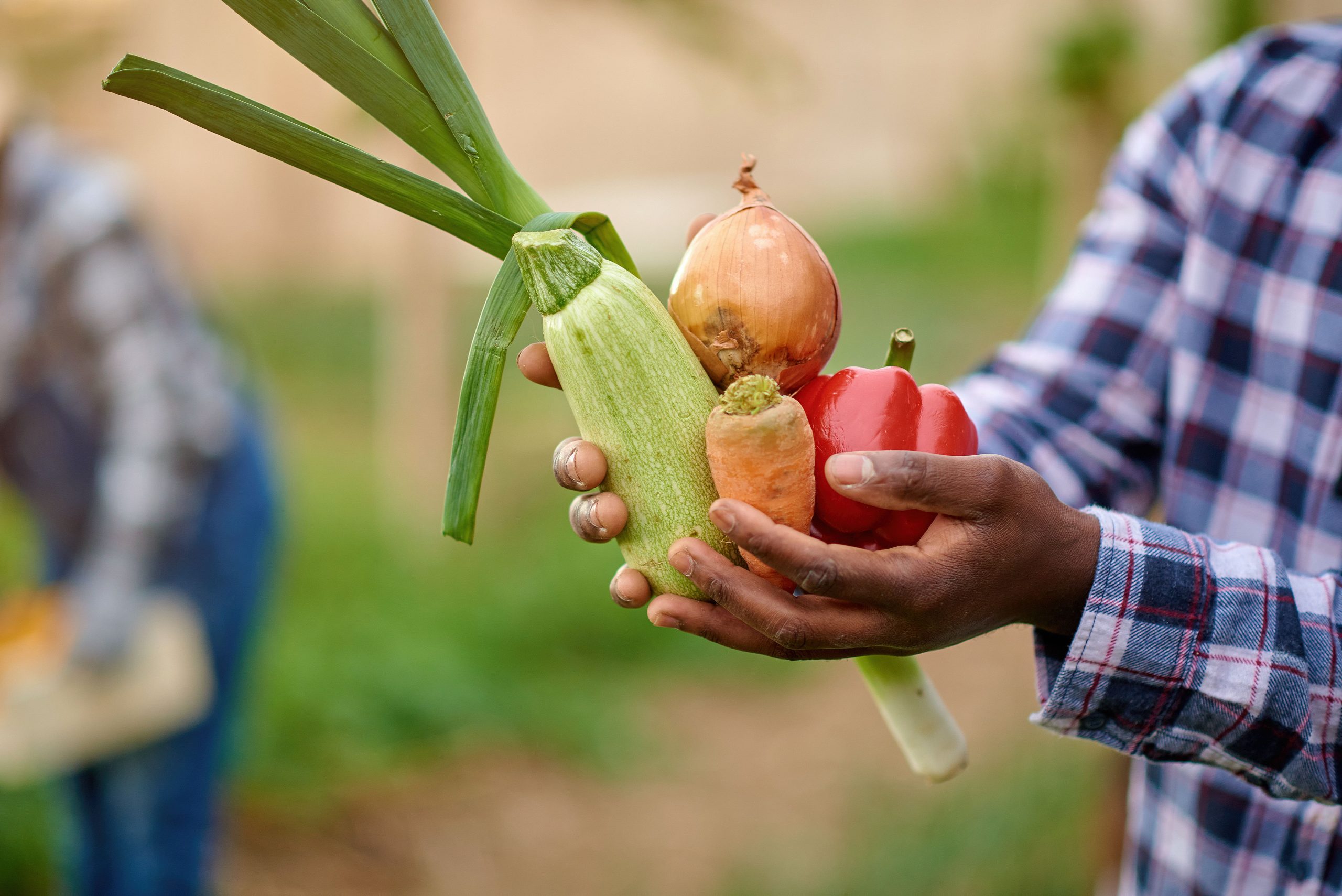 The Guiding Principles of Organic Gardening